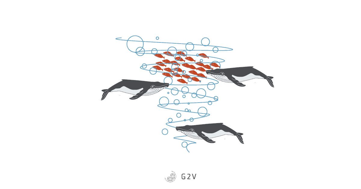 One example of an algorithm for determining solar cell model parameters is the whale algorithm, one of many such methods inspired by biological behaviour.