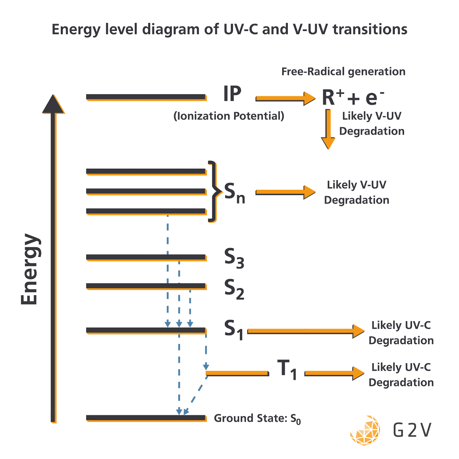 Energy level diagram showing general physical and chemical transitions and degradation pathways experienced by UV-C and V-UV absorption