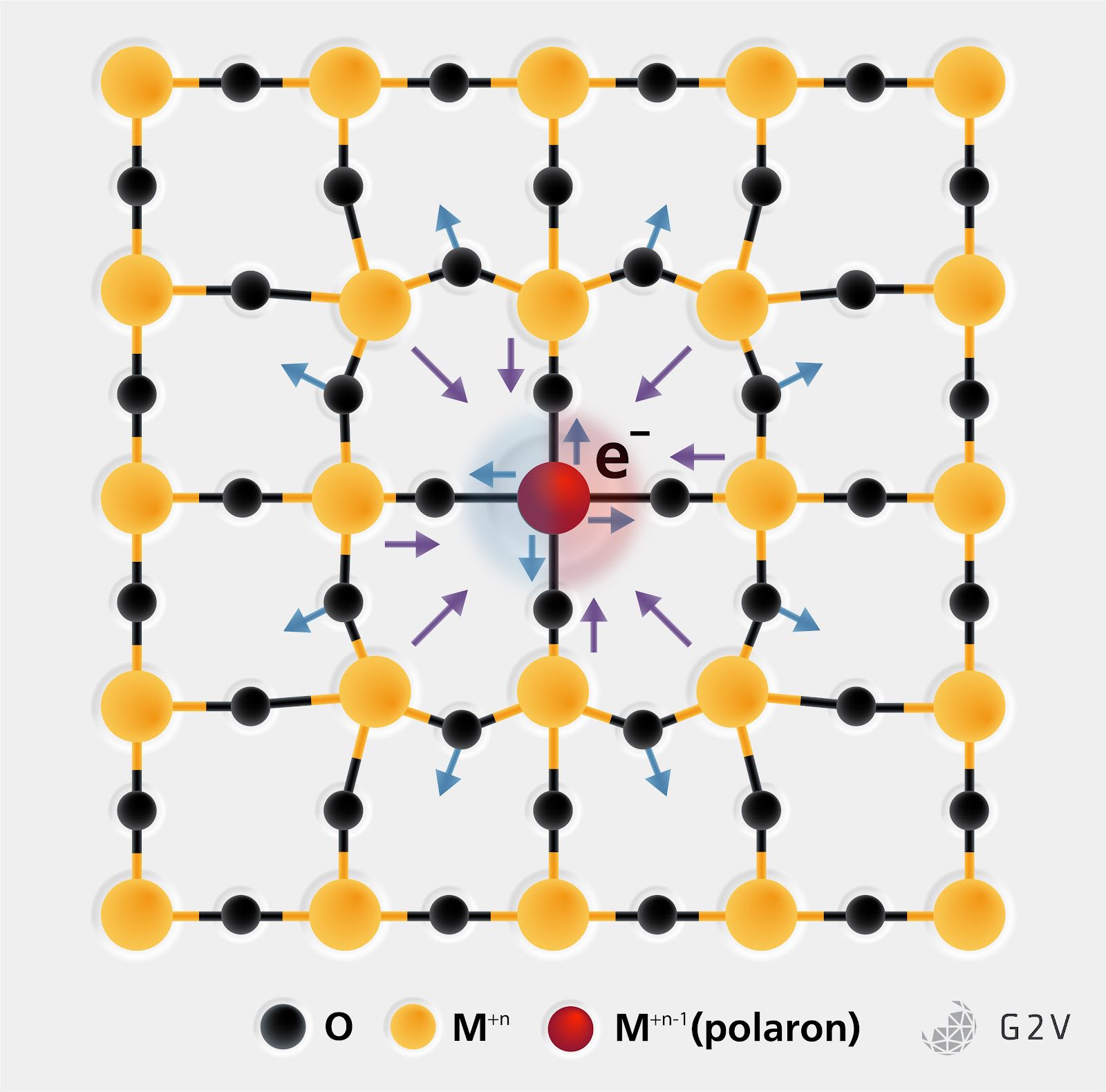 Lattice deformation of a polaron in an ionic solid.